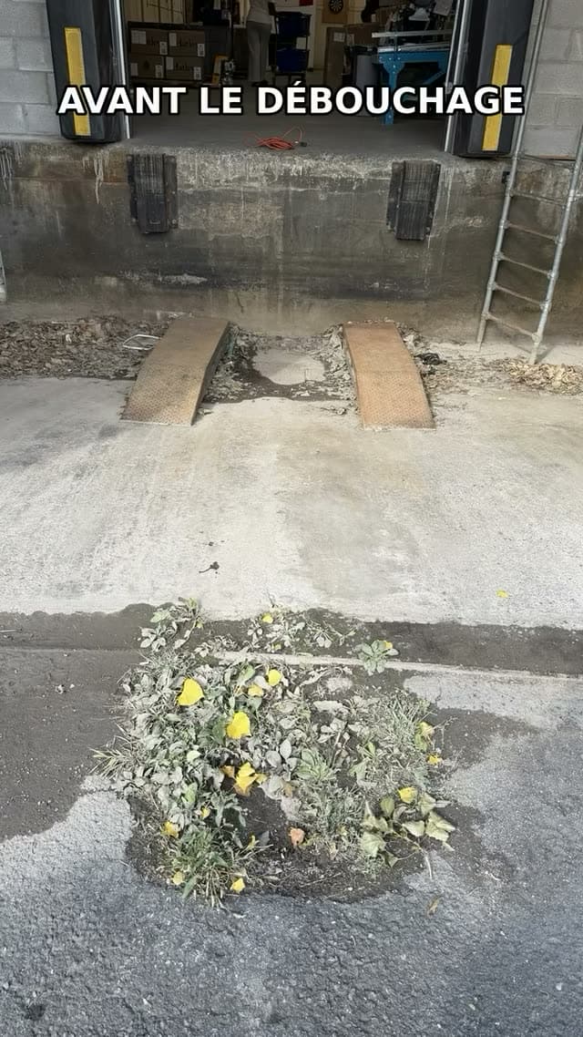 Exterior main line before drain clearing work